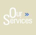 Our Services